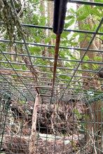 画像をギャラリービューアに読み込む, 太田式箱罠(完成品)メッキ加工済み ※※店舗引き渡しのみ対応※※