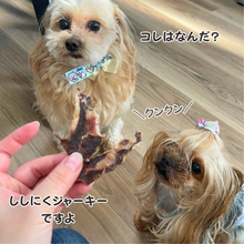 画像をギャラリービューアに読み込む, ペット用!いのししジャーキー(素敵なジャーキー)※代引き・コンビニ後払い不可