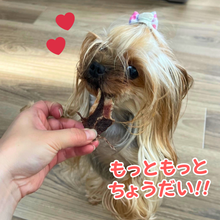 画像をギャラリービューアに読み込む, ペット用!いのししジャーキー(素敵なジャーキー)※代引き・コンビニ後払い不可