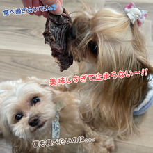 画像をギャラリービューアに読み込む, ペット用!いのししジャーキー(素敵なジャーキー)※代引き・コンビニ後払い不可