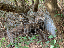 画像をギャラリービューアに読み込む, 太田式組み立て箱罠Lサイズ(メッキ加工済み・溶接不要タイプ)