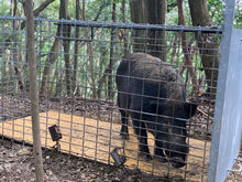 画像をギャラリービューアに読み込む, 太田式組み立て箱罠LLサイズ(メッキ加工済み・溶接不要タイプ)