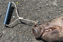 画像をギャラリービューアに読み込む, ヒッパット