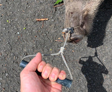 画像をギャラリービューアに読み込む, ヒッパット