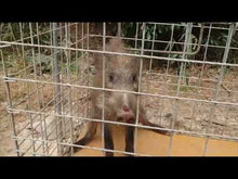 ギャラリービューア太田式組み立て箱罠LLサイズ(メッキ加工済み・溶接不要タイプ)に読み込んでビデオを見る