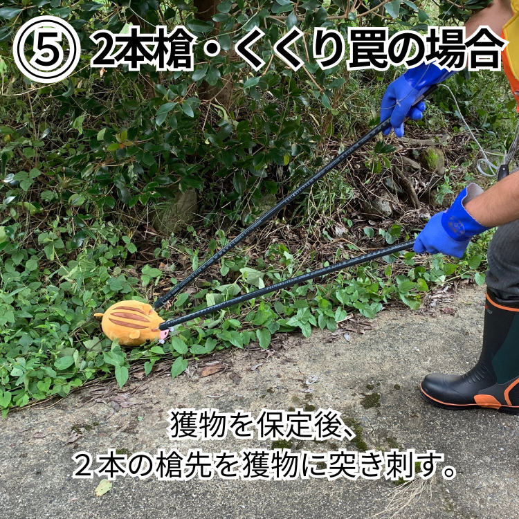 2本槍電気止め刺し機・箱罠・くくり罠兼用 害獣 猪 イノシシ 鹿 シカ 2本槍電気止め刺し機・箱罠・くくり罠兼用 害獣 猪 イノシシ 鹿 シカ