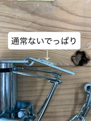 アライグマ専用捕獲機 アラホール 農作物被害 駆除 捕獲機 罠 わな猟