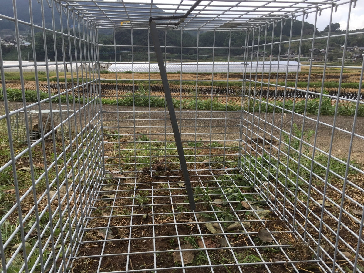 箱罠 - 害獣駆除とくくり罠の太田製作所 全国のハンター・駆除隊の方向け​害獣対策・狩猟用品専門ショップです。
